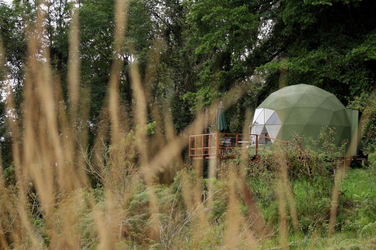 Cuspide Lodge - Choachí Zewnętrze zdjęcie